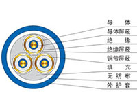 額定電壓0.6/1kv聚氯乙烯絕緣電力電纜
